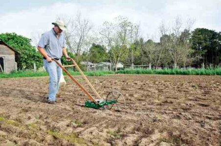 Choose the Right Garden Seed Planter Image